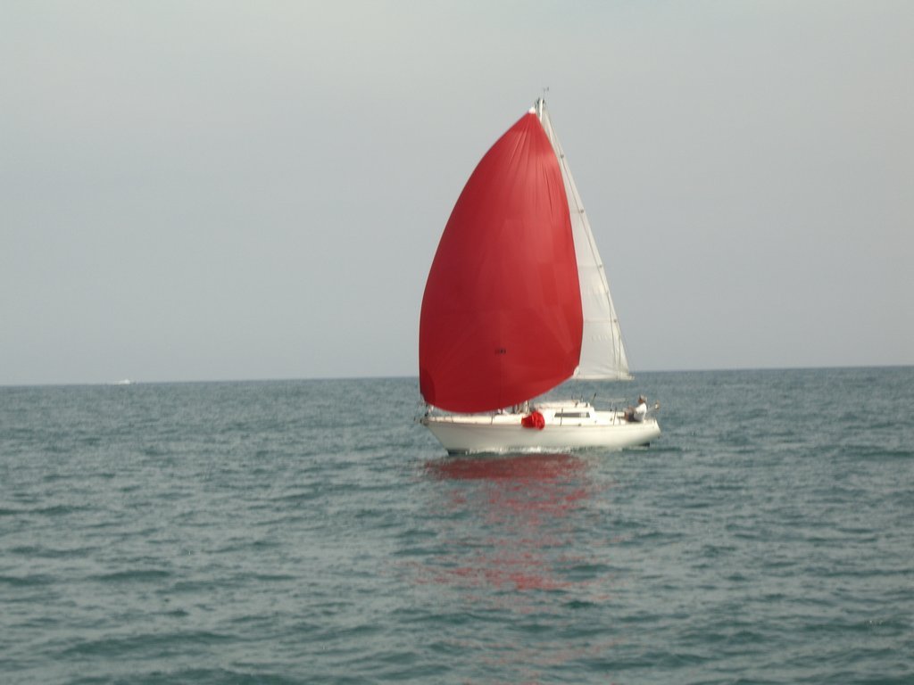 cimg2894.jpg