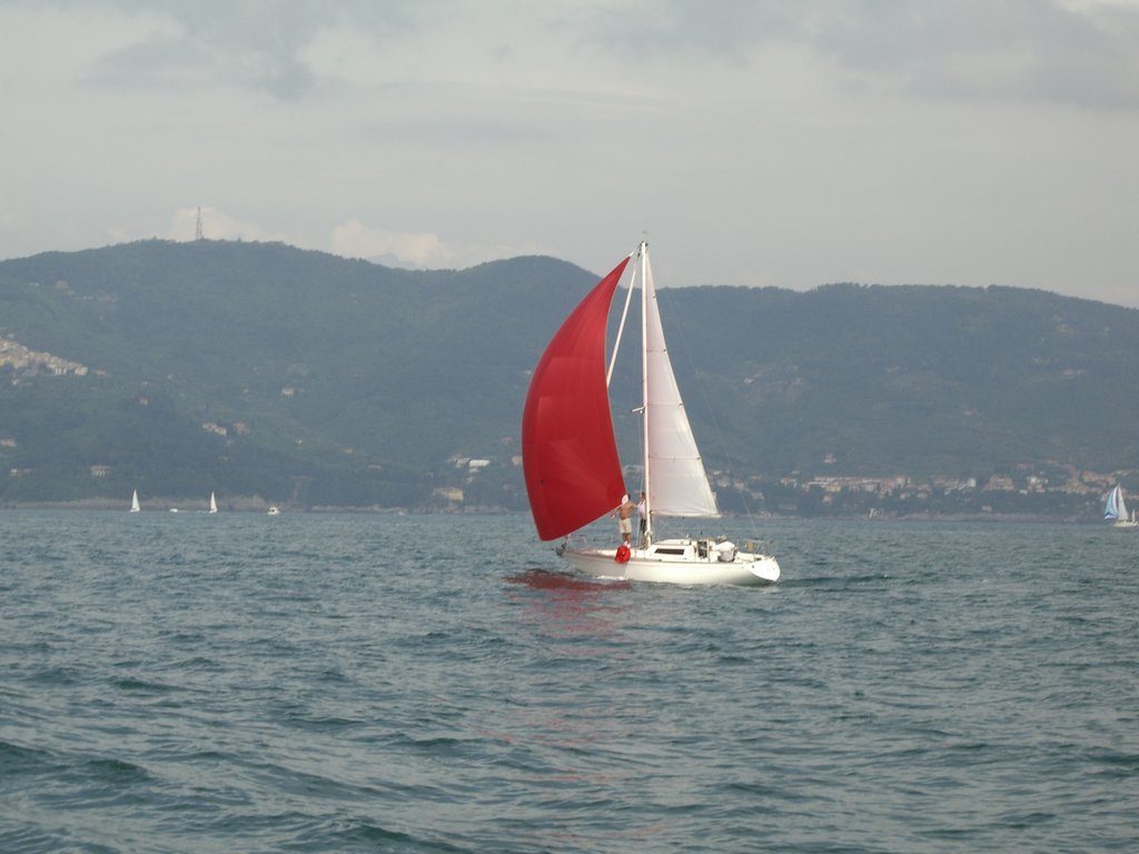 cimg2896.jpg